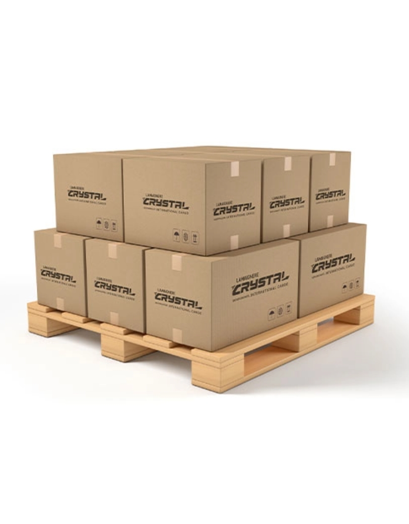 web designing agency dubai